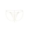 Ланцюжок-трусики Bijoux Indiscrets Magnifique Bikini Chain – Gold, прикраса для тіла